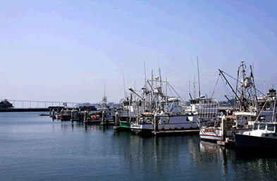 青島海運業務知識干貨