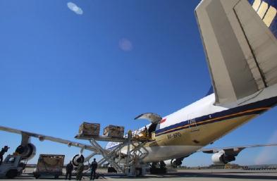 青島國際物理與貨運代理公司有什么不同？