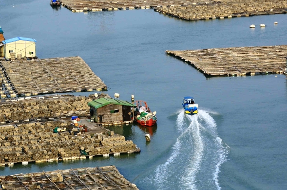 天津貨代行業(yè)在發(fā)展過程中，逐漸形成了獨特的服務(wù)特色和優(yōu)勢