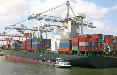 公認進口報關代理公司會采取哪些措施來確保報關服務的專業性？