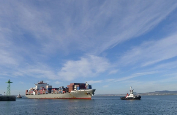 國內(nèi)海運公司在全球化時代具有重要的地位和作用，面臨著挑戰(zhàn)和機遇