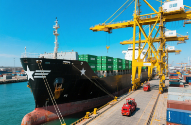 國際海運物流公司：高效運輸，縮短木材出口時空距離