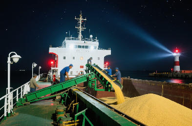 國際貨運代理：海運 / 空運 / 陸運全航線，訂艙到派送一站搞定